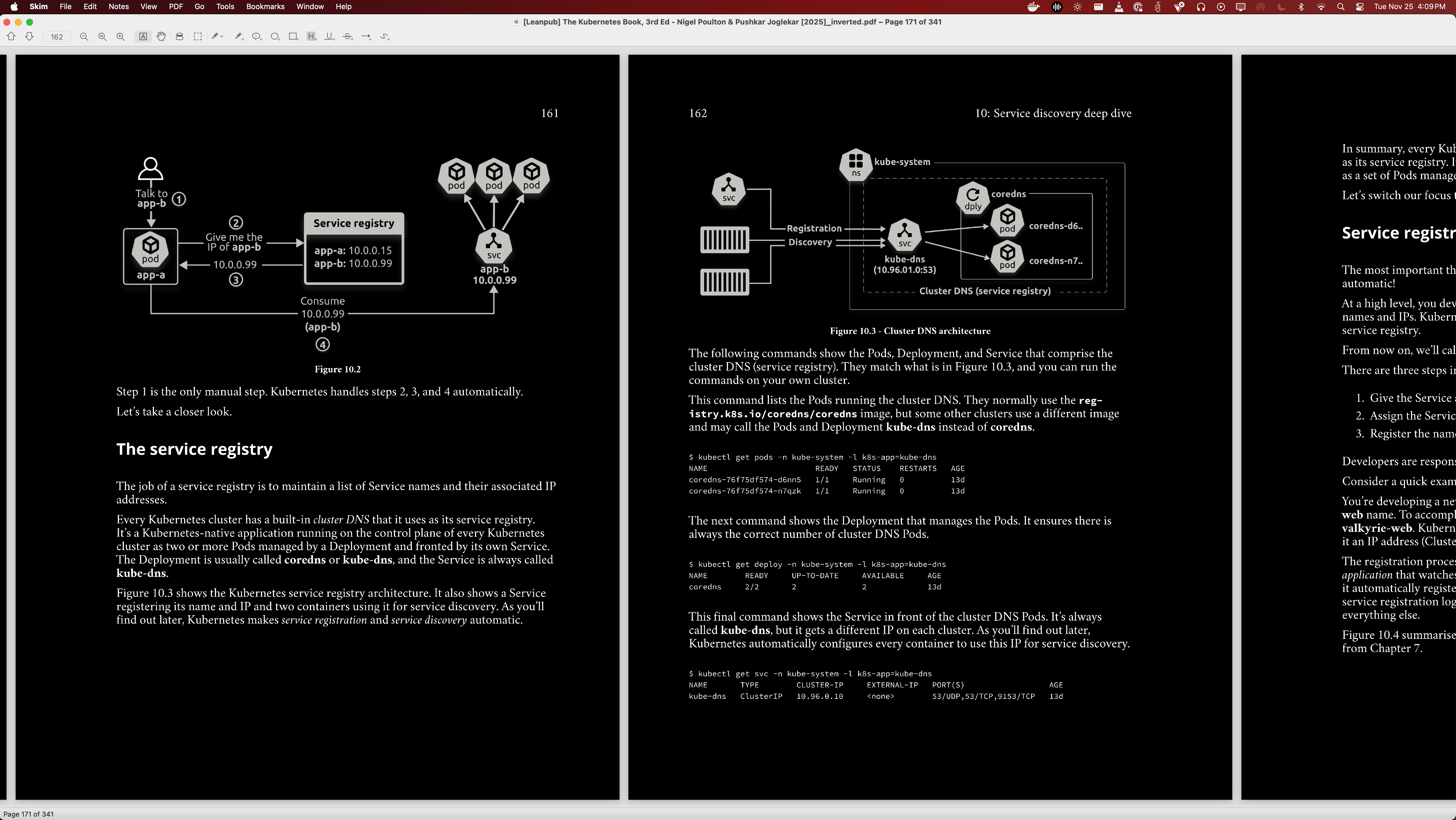 Example of Skim running on macOS